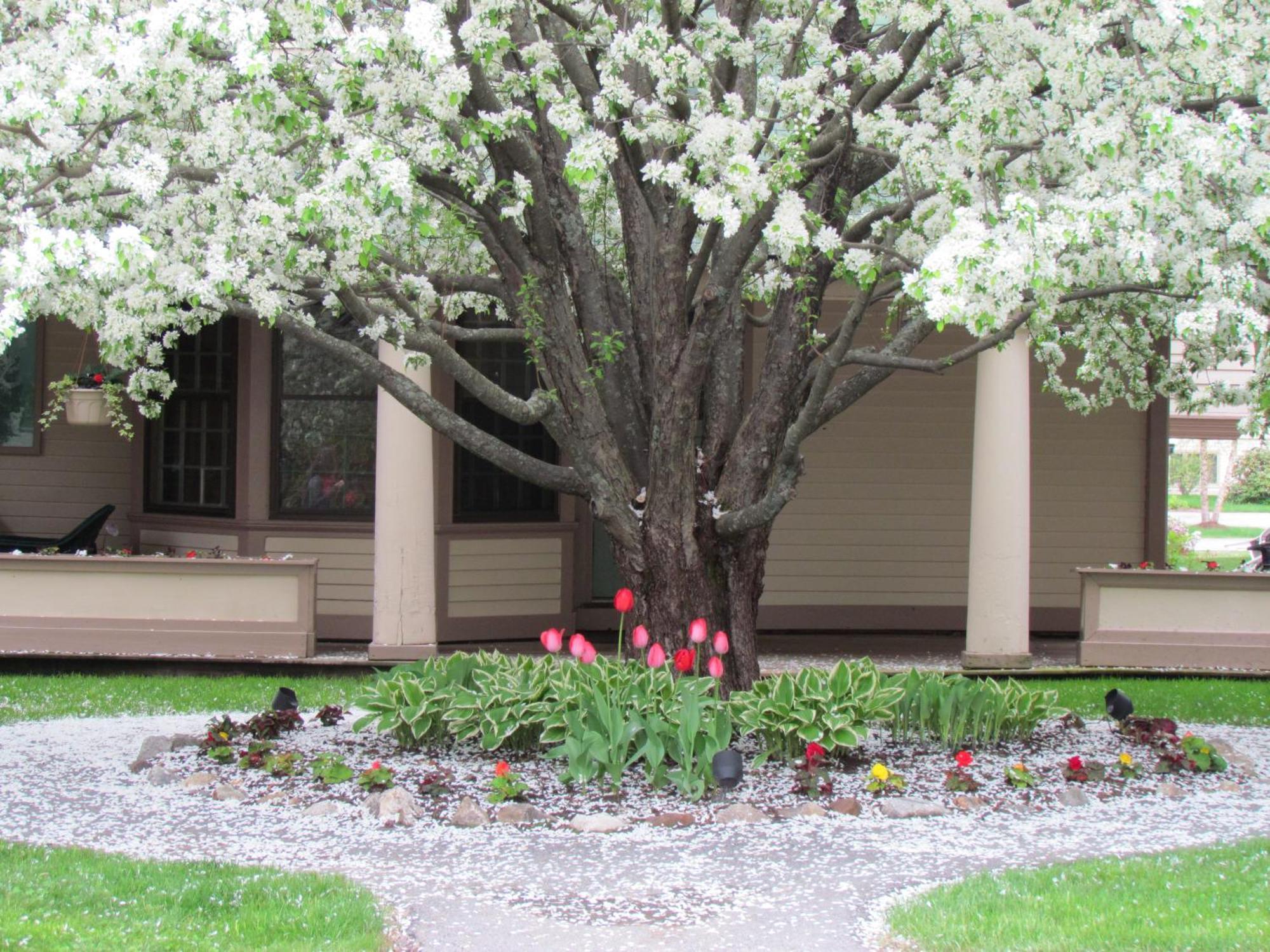 Hotel The Wentworth Jackson Esterno foto